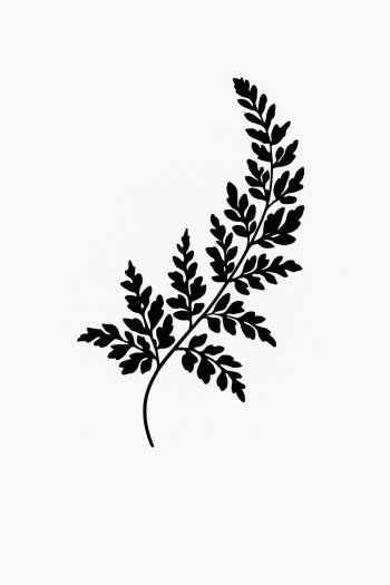 Elegant Black Leaf Illustration Elegant Black Leaf Illustration