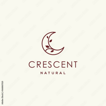 elegant crescent moon and star logo design line icon vector in luxury style outline linear, ramadan kareem, crescent moon and star illustration for background banner, abstract crescent moon logo