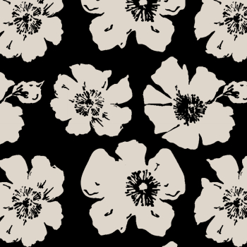 Elegant Floral Pattern on Black Background Elegant Floral Pattern on Black Background