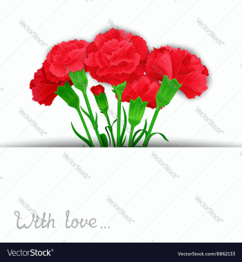 Elegant flowers design vector image