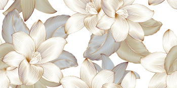 Elegant White Magnolia Floral Pattern Elegant White Magnolia Floral Pattern
