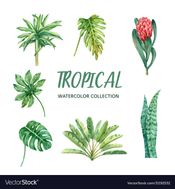 element watercolor design with tropical plant