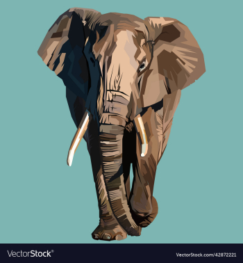 elephant elephant