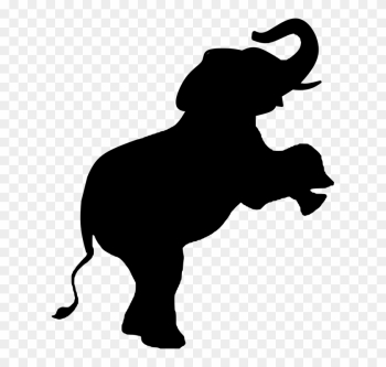 Elephant, Animal, Mammal, Wild, Wildlife, Nature, Zoo - Endangered Species Elephant, Animal, Mammal, Wild, Wildlife, Nature, Zoo - Endangered Species