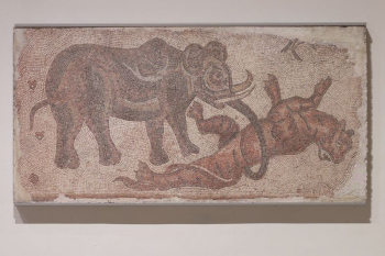 Elephant Attacking a Feline during late | Free Photo - rawpixel Elephant Attacking a Feline during late | Free Photo - rawpixel