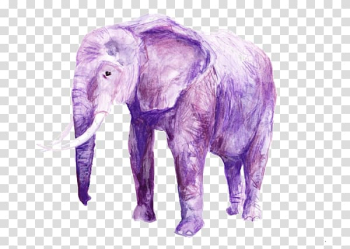 Elephant Festival Cuddly Elephant Seeing pink elephants Illustration, Purple elephant transparent background PNG clipart