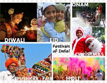 Elephant Festival India Holi Collage - holi Elephant Festival India Holi Collage - holi