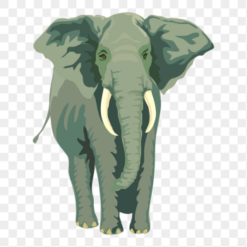 Elephant png sticker, wildlife illustration | Free PNG - rawpixel Elephant png sticker, wildlife illustration | Free PNG - rawpixel