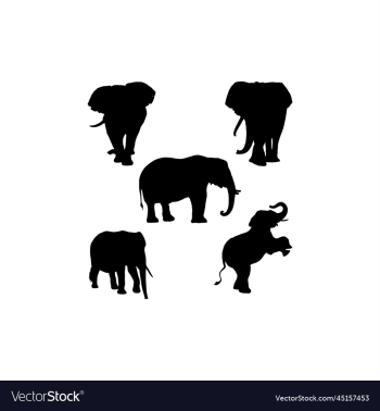 elephant set silhouette icon logo elephant set silhouette icon logo