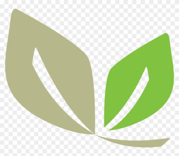 Elixrx Leaf Logo - Pharmacy Leaf