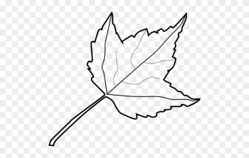 Embed This Clipart - Outline Image Of Leaf