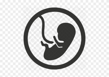 Embryo Icon - Baby Icon Png