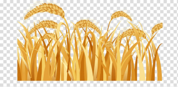 Emmer Ear Harvest Rice, wheat transparent background PNG clipart Emmer Ear Harvest Rice, wheat transparent background PNG clipart