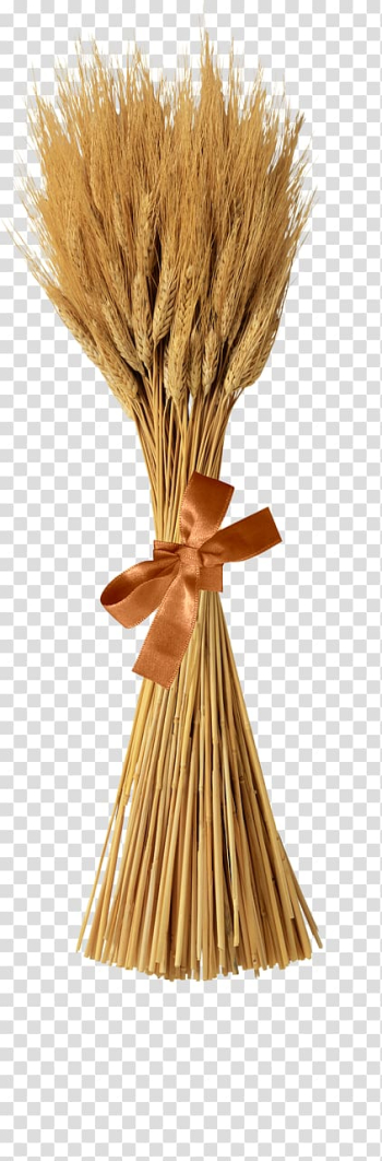 Emmer Sheaf Cereal Straw bale, ear transparent background PNG clipart Emmer Sheaf Cereal Straw bale, ear transparent background PNG clipart