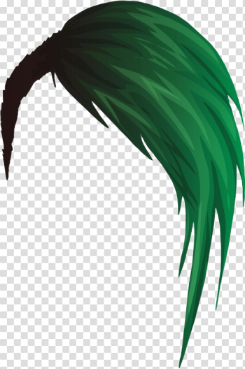 Emo Hair Transparent Image