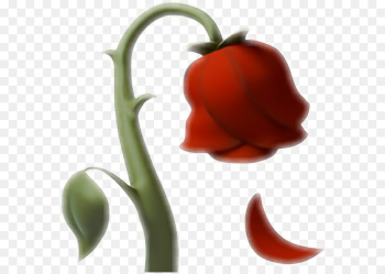 Emoji, Emojipedia, Iphone, Vegetable, Bell Peppers And Chili Peppers PNG