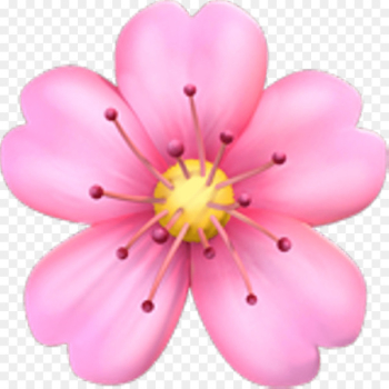 Emoji Pink flowers Cherry blossom Sticker - cherry blossom Emoji Pink flowers Cherry blossom Sticker - cherry blossom