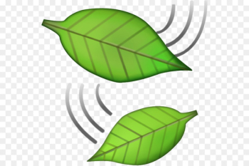 Emojipedia Sticker iPhone Leaf - Emoji Emojipedia Sticker iPhone Leaf - Emoji