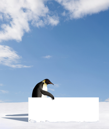 Emperor penguin holding a billboard Emperor penguin holding a billboard
