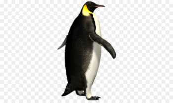 Emperor penguin Portable Network Graphics Image Clip art - penguin 