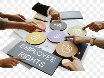 Employee rights png | Free PNG - rawpixel Employee rights png | Free PNG - rawpixel
