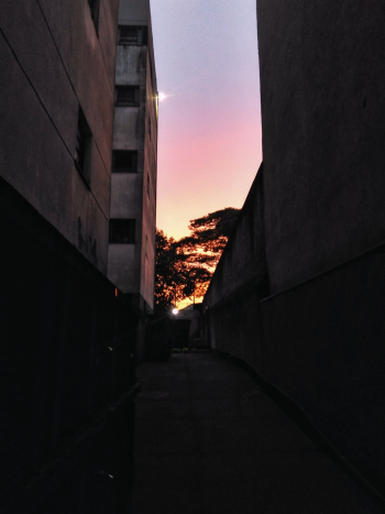 Empty Alley Empty Alley