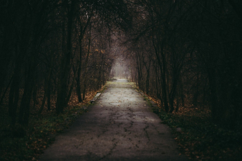 Empty Road Empty Road