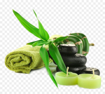 Encapsulated PostScript Download Computer file - SPA beauty treatments 