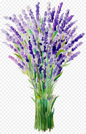 English lavender French lavender Plant stem Cut flowers Grasses -  