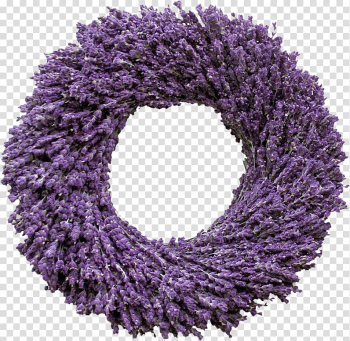 English lavender French lavender Wreath Flower, lavanda transparent background PNG clipart