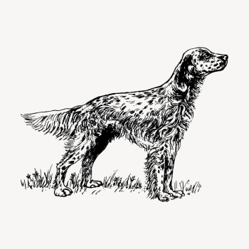 English setter dog hand drawn | Free Vector Illustration - rawpixel English setter dog hand drawn | Free Vector Illustration - rawpixel