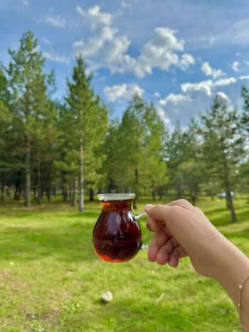 Enjoying Tea in Nature Enjoying Tea in Nature