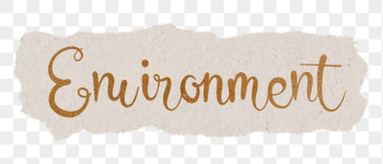 Environment word png, gold glittery | Free PNG - rawpixel