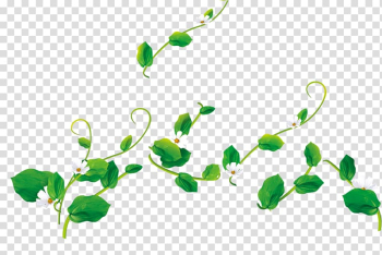 Environmental protection Natural environment , Leaves transparent background PNG clipart