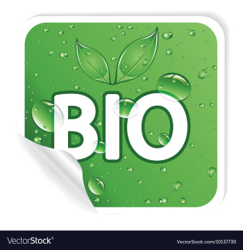 Environmental sticker vector image Environmental sticker vector image