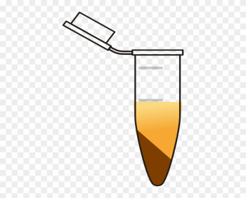 Eppendorf Sample Centrifuge Clip Art - Eppendorf Tube Png