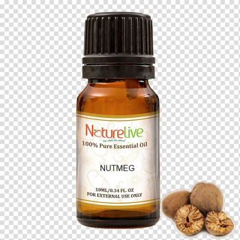 Essential oil Tea tree oil Aromatherapy Narrow-leaved paperbark Carrier oil, oil transparent background PNG clipart