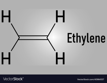 ethylene or ethene molecule skeletal formula ethylene or ethene molecule skeletal formula