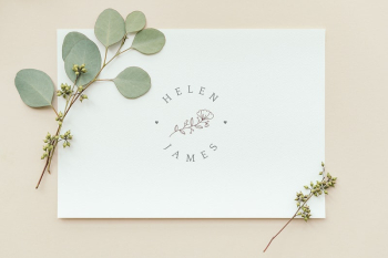 Eucalyptus populus leaves with a white | Free PSD Mockup - rawpixel Eucalyptus populus leaves with a white | Free PSD Mockup - rawpixel