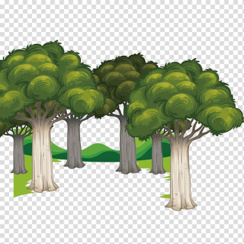 Euclidean Forest, Forest transparent background PNG clipart