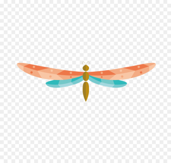 Euclidean vector Download - Vector colored dragonfly png download ...