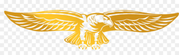 Euclidean vector Eagle - Vector Golden Eagle Euclidean vector Eagle - Vector Golden Eagle