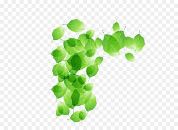 Euclidean vector Green - leaf Euclidean vector Green - leaf