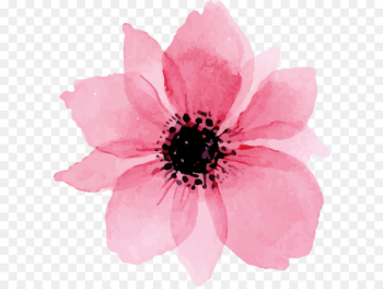 Euclidean vector - Pink lovely watercolor flowers Euclidean vector - Pink lovely watercolor flowers