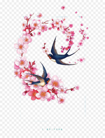 Eurasian Magpie Chinoiserie Ink wash painting Illustration - Chinese wind pink peach magpie flying illustrator 