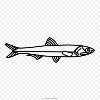 European anchovy Fish Drawing Japanese anchovy - Anchovy European anchovy Fish Drawing Japanese anchovy - Anchovy