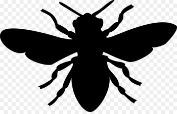 European dark bee Honey bee Silhouette - bee png download - 1280 ...