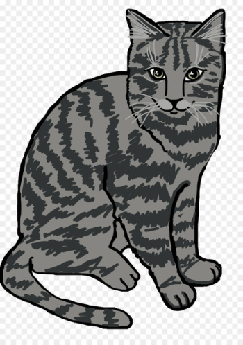European Shorthair, California Spangled, Ocicat, Cat, Mammal PNG
