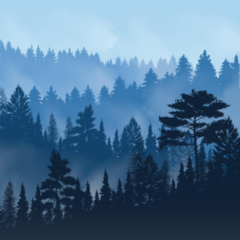 Evening fog over tops of trees of pine forest Free Vector Evening fog over tops of trees of pine forest Free Vector
