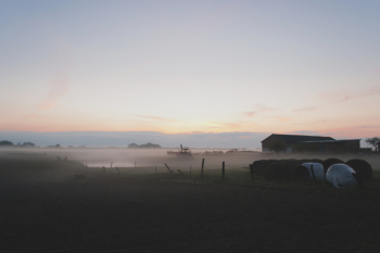 Evening mist Evening mist